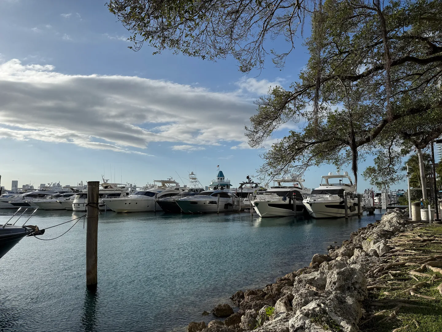 Miami Beach Marina from the waterfront path